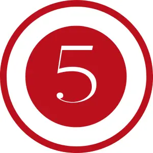 Step 5 icon symbolising long-term partnership and growth