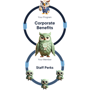 Diagram showing categories of staff perks and employee benefits