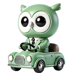 Owl driving a car